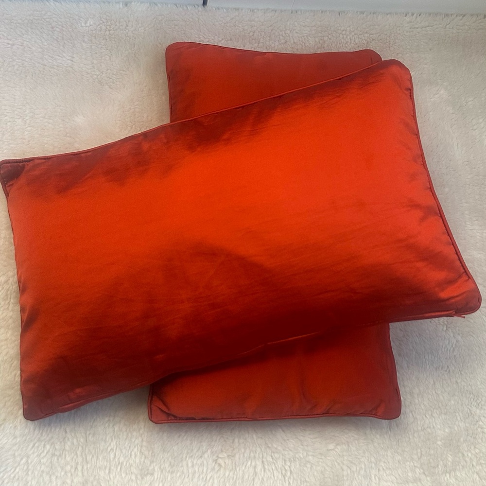 Zara Throw Pillow Cases Set of 2